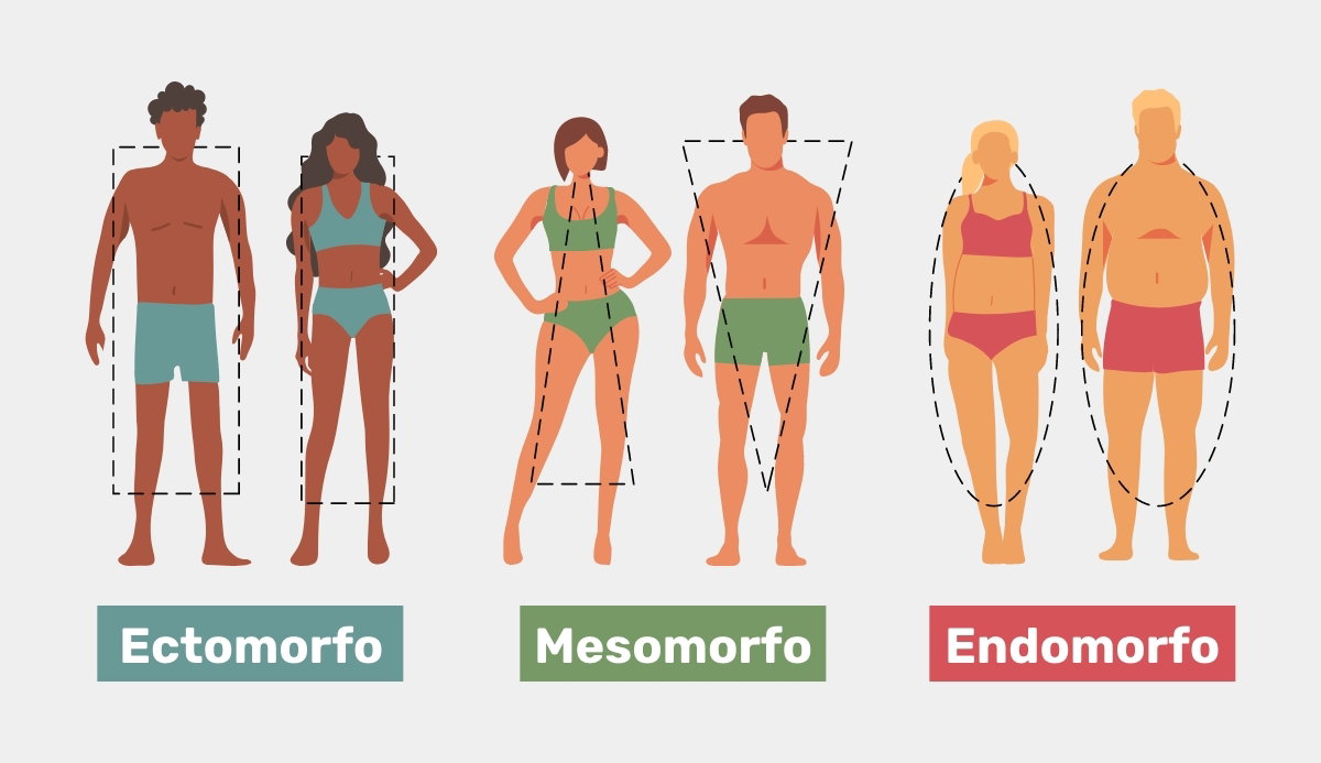 o que é biotipo ectomorfo