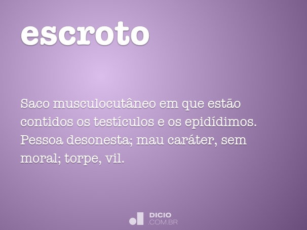 significado de escroto