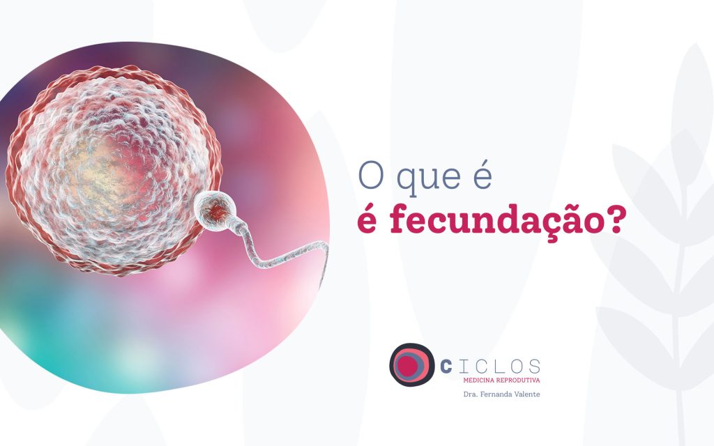 processo de concepção