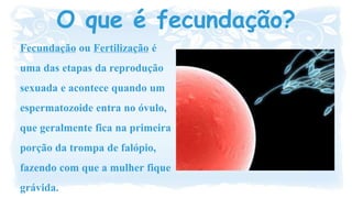 união do espermatozoide e óvulo