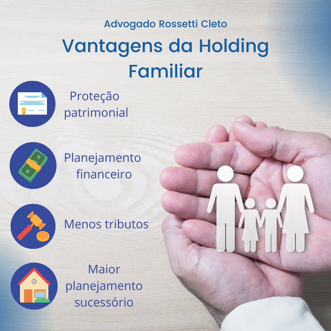 O que é holding familiar