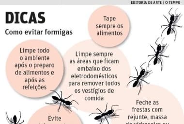 formigas em casa significado bíblico