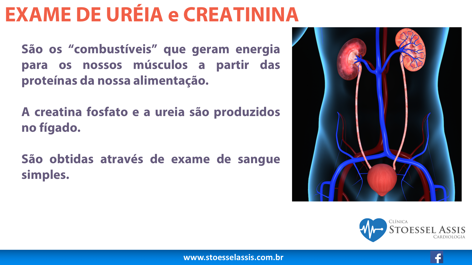 o que significa ureia alta