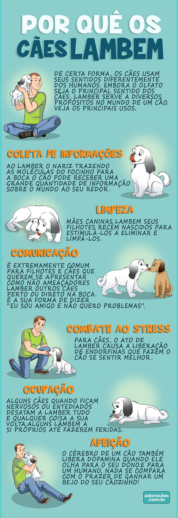 significado cachorro lambendo mão