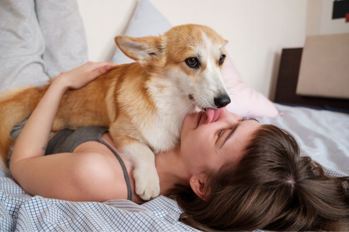 lambida de cachorro é sinal de amor
