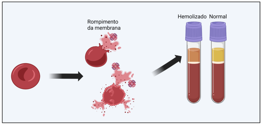 causas de sangue hemolisado