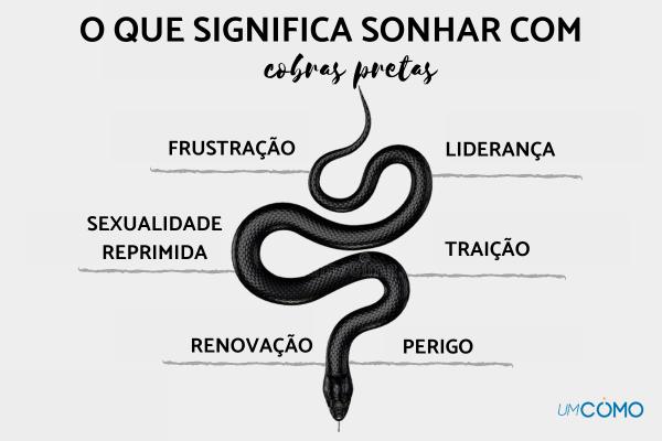 o que significa sonhar com cobra grande e preta atacando