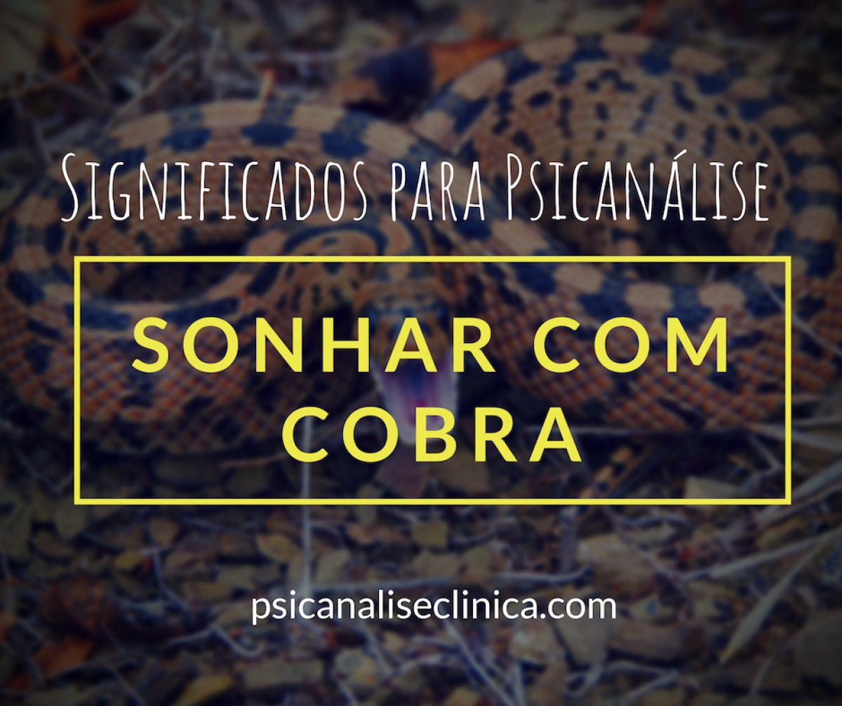 como lidar com medo de cobra em sonhos