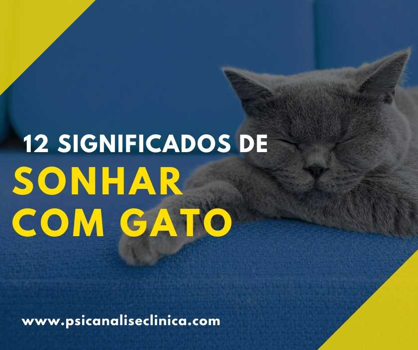 gato preto atacando sonho