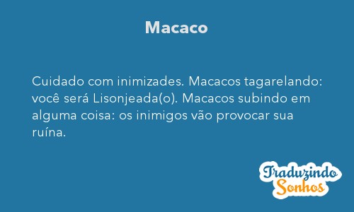 sonhar com macaco o que significa