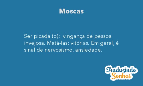 sonhar com muitas moscas juntas