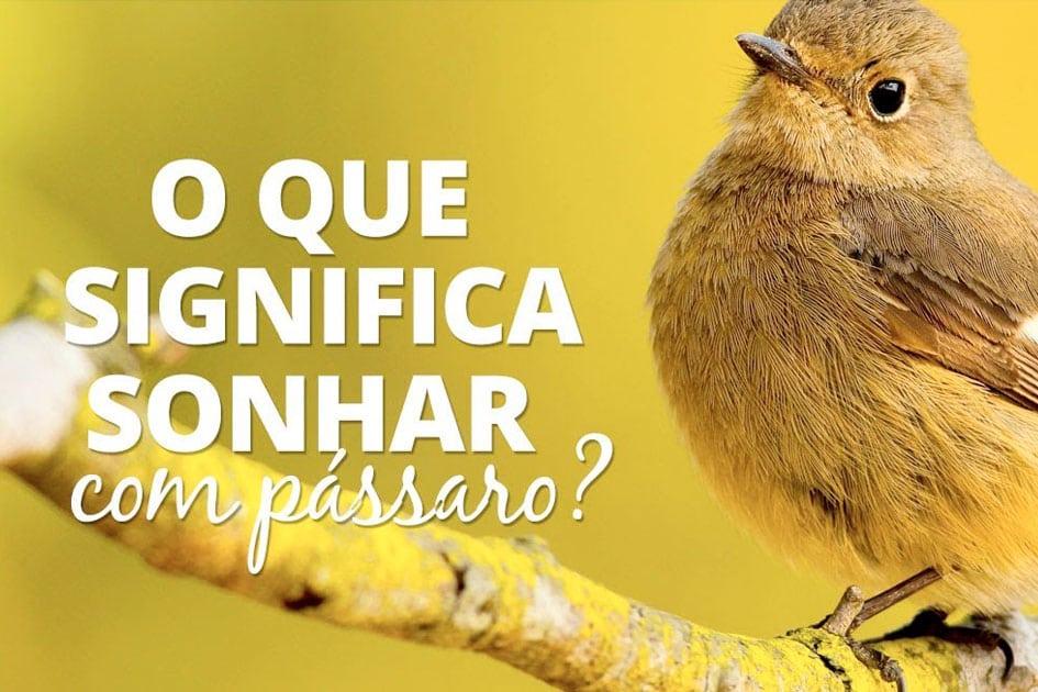 o que significa sonhar com pássaro voando