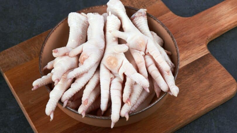 interpretação sonho pé de galinha