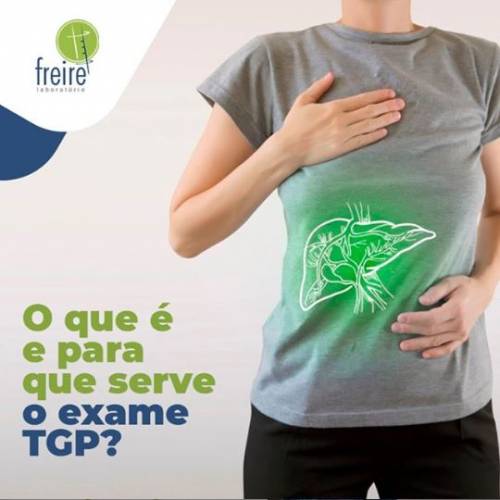 o que é TGP