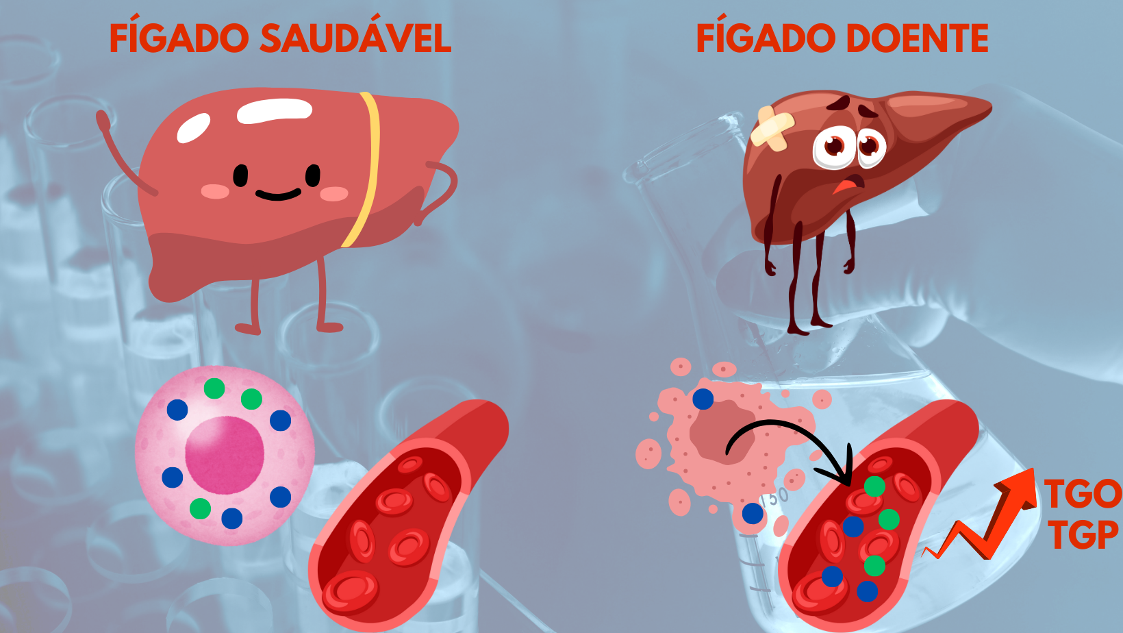 TGP baixo o que significa