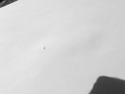 Grafologia no RH: Como empresas usam a análise de escrita na seleção