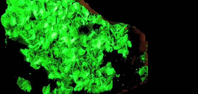 1. Desvendando os Mistérios: Os 7 Objetos Mais Raros da Natureza e do Universo
2. Do Ástato ao Oumuamua: Uma Jornada Pelos Itens Mais Exclusivos do Planeta e do Cosmos
3. Além do Diamante: Conheça os Objetos Históricos e Científicos de Raridade Incomparável
4. O Que Torna Algo Raro? Explorando os Objetos Mais Únicos da História e da Ciência
5. Guia Completo: Preços