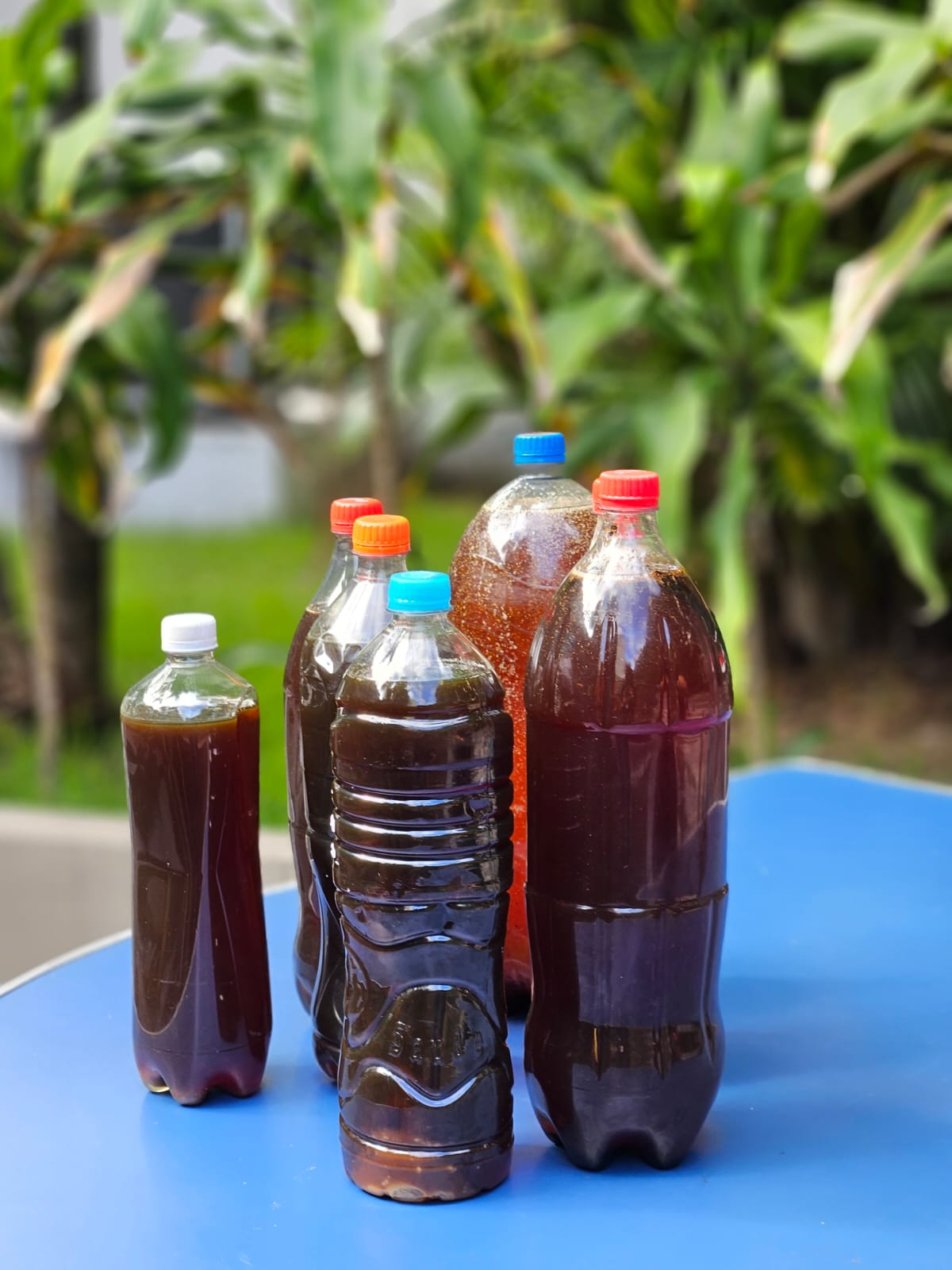 Gutter Oil na China: Do Escândalo Alimentar à Solução de Biocombustível?