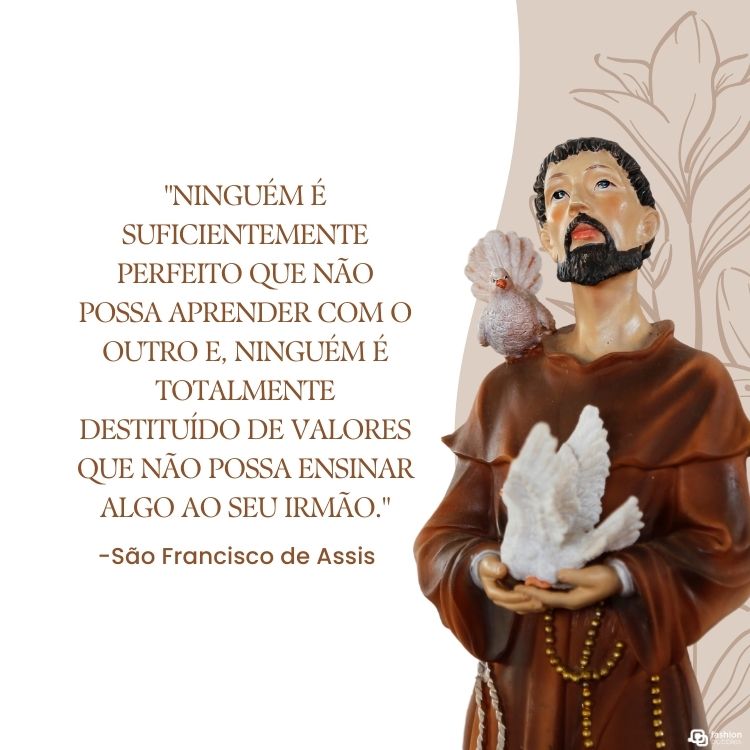 oração a são francisco pela cura de um animal