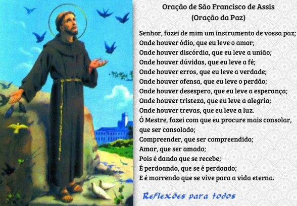 história de são francisco e os animais