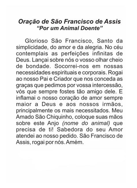 oração são francisco animais doentes