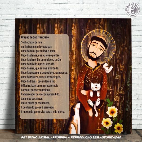 oração são francisco animais de rua