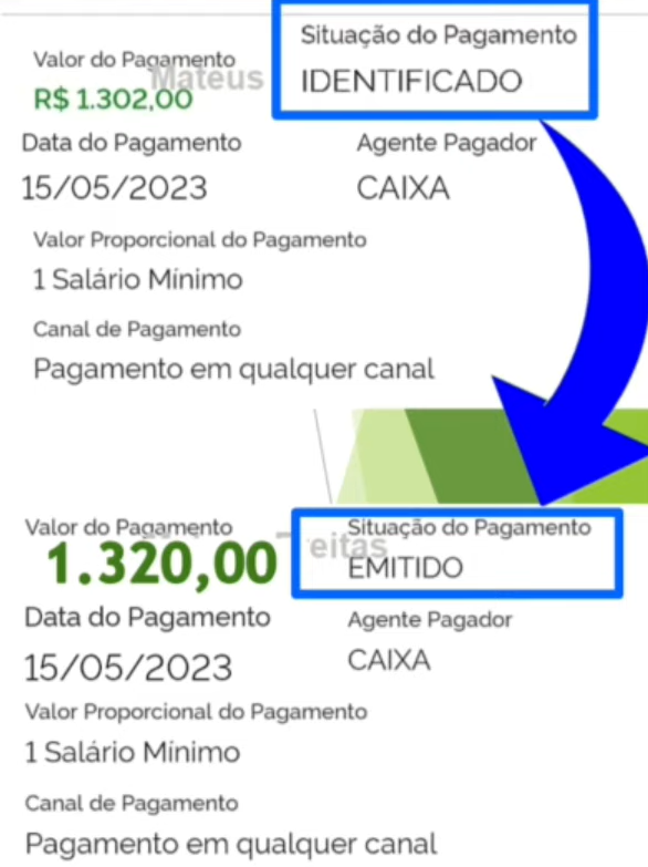 o que significa pagamento emitido pis
