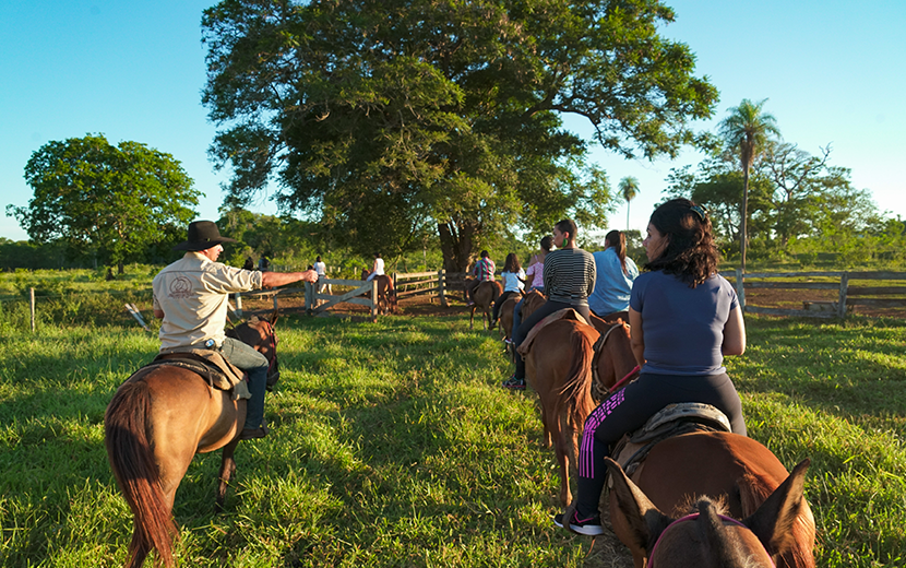 passeios a cavalo