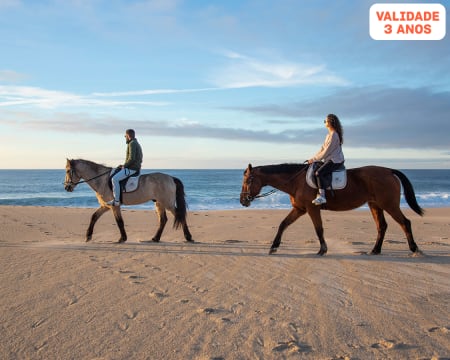 erros comuns ao fazer passeio a cavalo para iniciantes