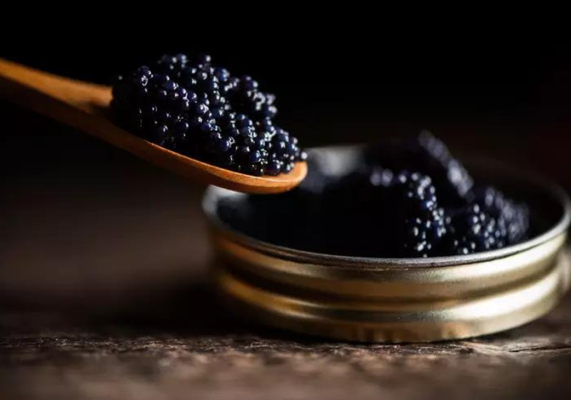 5 ideias de títulos:
1. O Fascinante Mundo do Caviar: Da Origem à Mesa.
2. Esturjão: O Peixe por Trás da Preciosa Iguaria.
3. Métodos de Extração de Caviar: Sustentabilidade em Foco.
4. Beluga