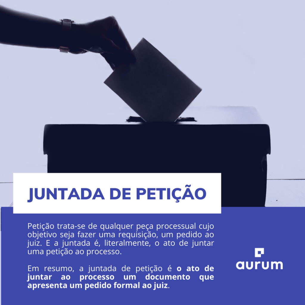 o que significa petição diversa no processo