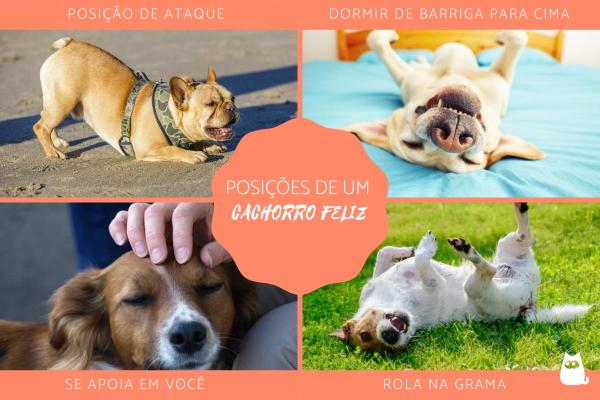 posições do cachorro dormir