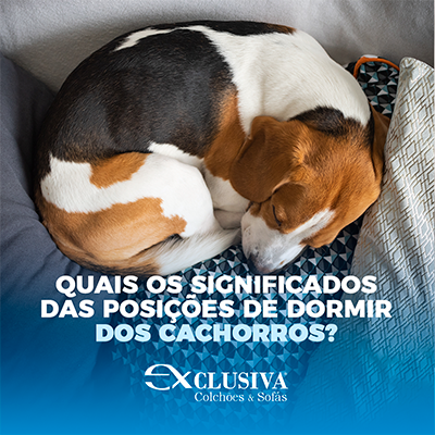 Como identificar sinais de desconforto no seu cachorro
