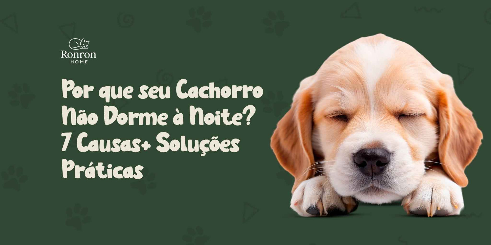 Quando levar seu cachorro ao veterinário: sinais de alerta