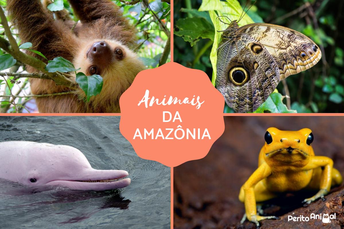 fauna da Amazônia