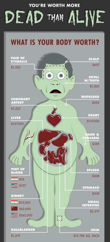 Transplante de Rim no SUS: Custos, Procedimentos e a Fila de Espera