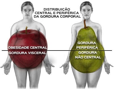 qual o tamanho de um estômago de um obeso