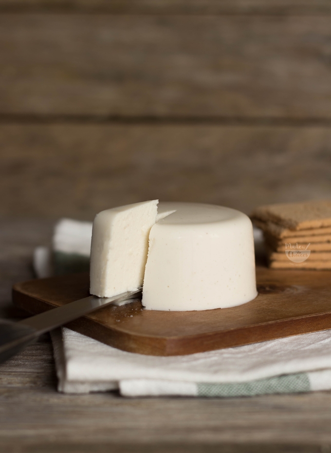 Receitas de queijos veganos caseiros: Opções fáceis e saborosas