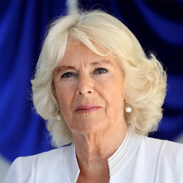 A Trajetória Completa da Rainha Camilla: De Camilla Parker Bowles à Coroação; Os Segredos da Dieta e Estilo de Vida da Rainha Camilla; Saúde da Rainha Camilla: Entenda o Diagnóstico de Infecção Pulmonar em 2024; Rainha Camilla e Rei Charles III: Uma História de Amor e Protocolo Real; Joias e Aparições: O Brilho da Rainha Camilla nos Banquetes Reais
