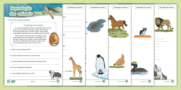 ciclo de vida dos animais 3º ano fundamental