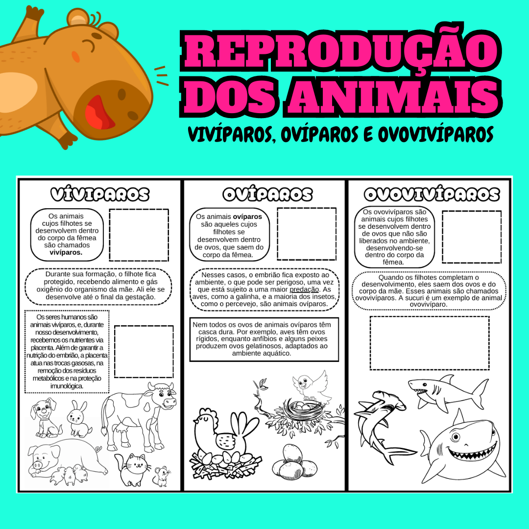 animais ovíparos vivíparos ovovivíparos 3 ano