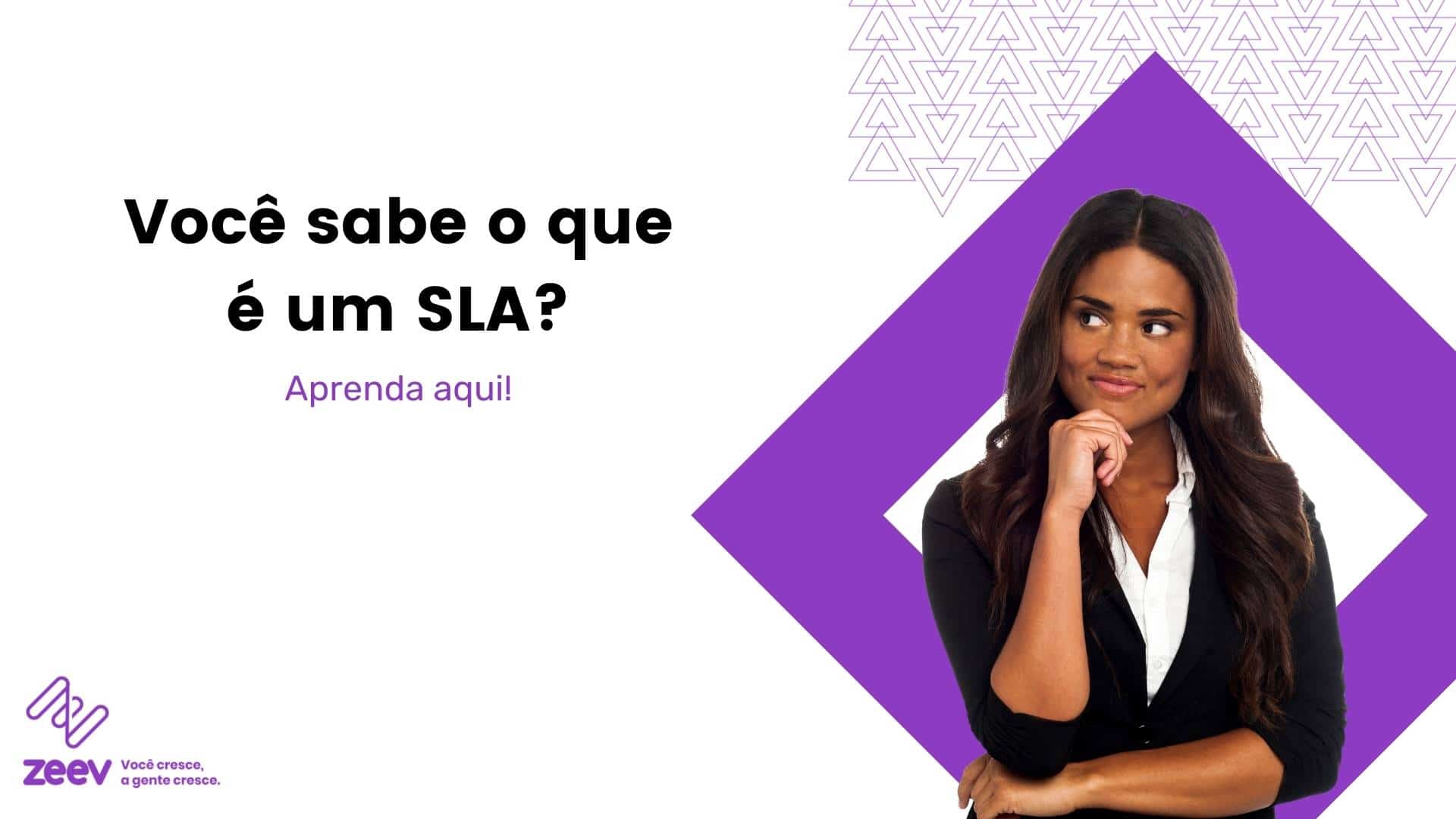 o que é SLA