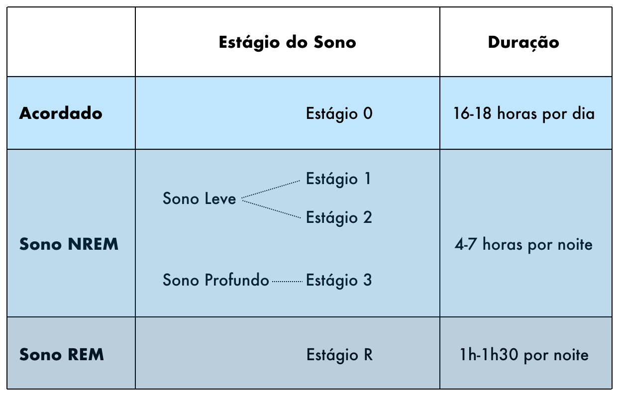 sono rem significado