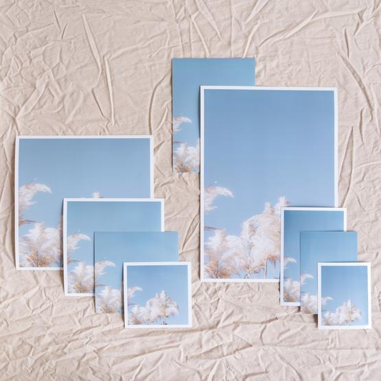 melhores tamanhos de foto para imprimir