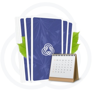 tarot do dia personare como jogar