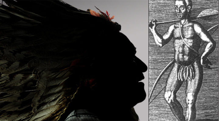 O Livro 'Viagem ao Norte do Brasil' e a Documentação da Morte de Tibira