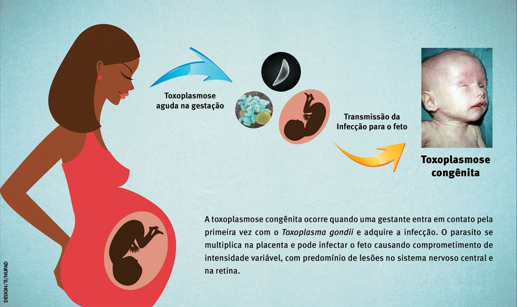 toxoplasmose igg positivo e igm negativo gravidez