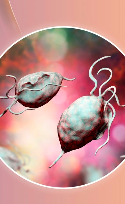 Metronidazol e Tinidazol: O Tratamento Eficaz para Tricomoníase Masculina