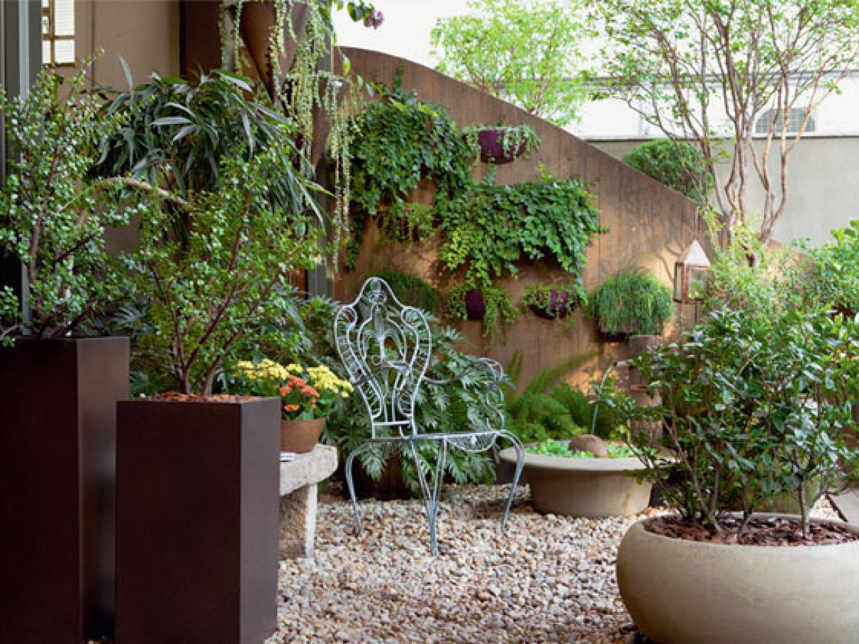 melhores plantas para jardim em vasos com pouca luz