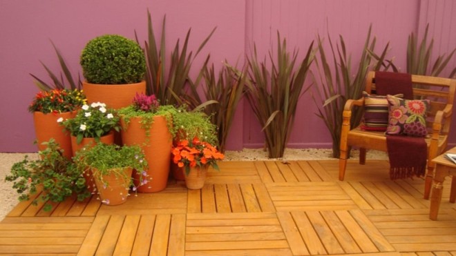 erros comuns ao montar jardim em vasos